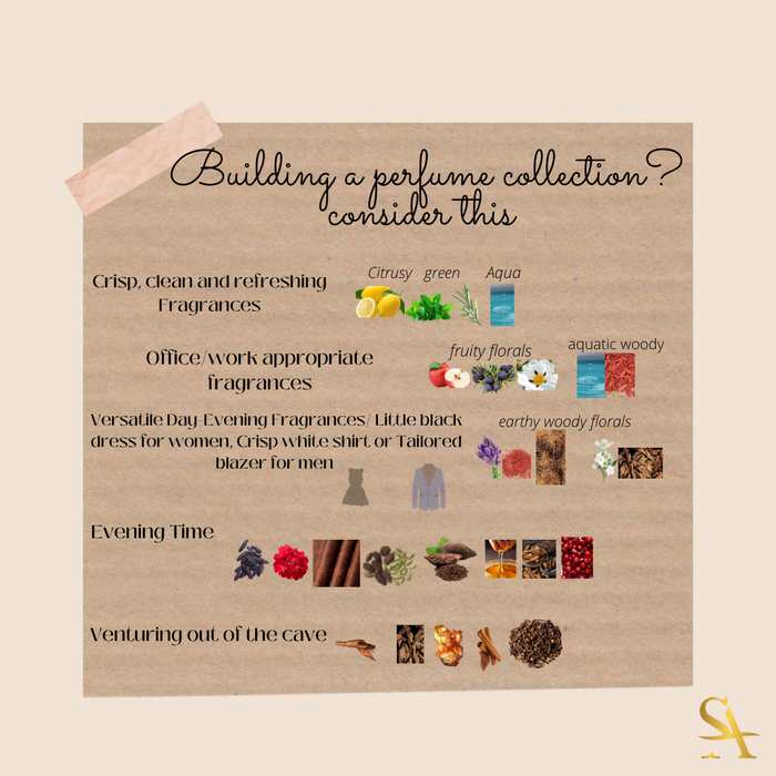 Building a perfume collection? All you need to know