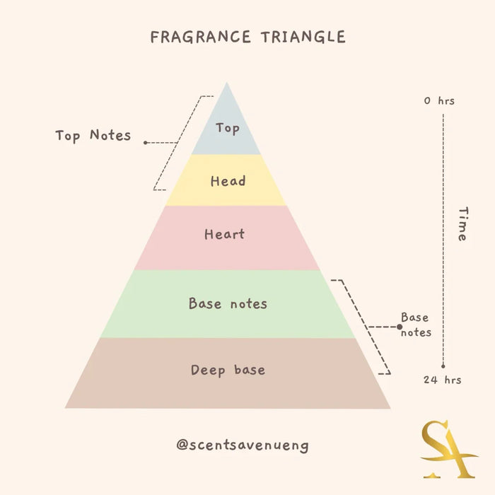 Fragrance Triangle/ Pyramid